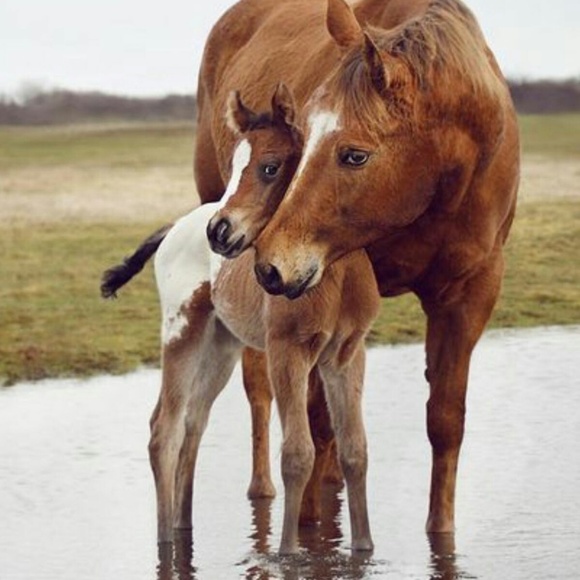 Meet your Posher, Ann - Picture 2 of 2